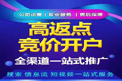 成功企业SEM竞价代运营案例研究